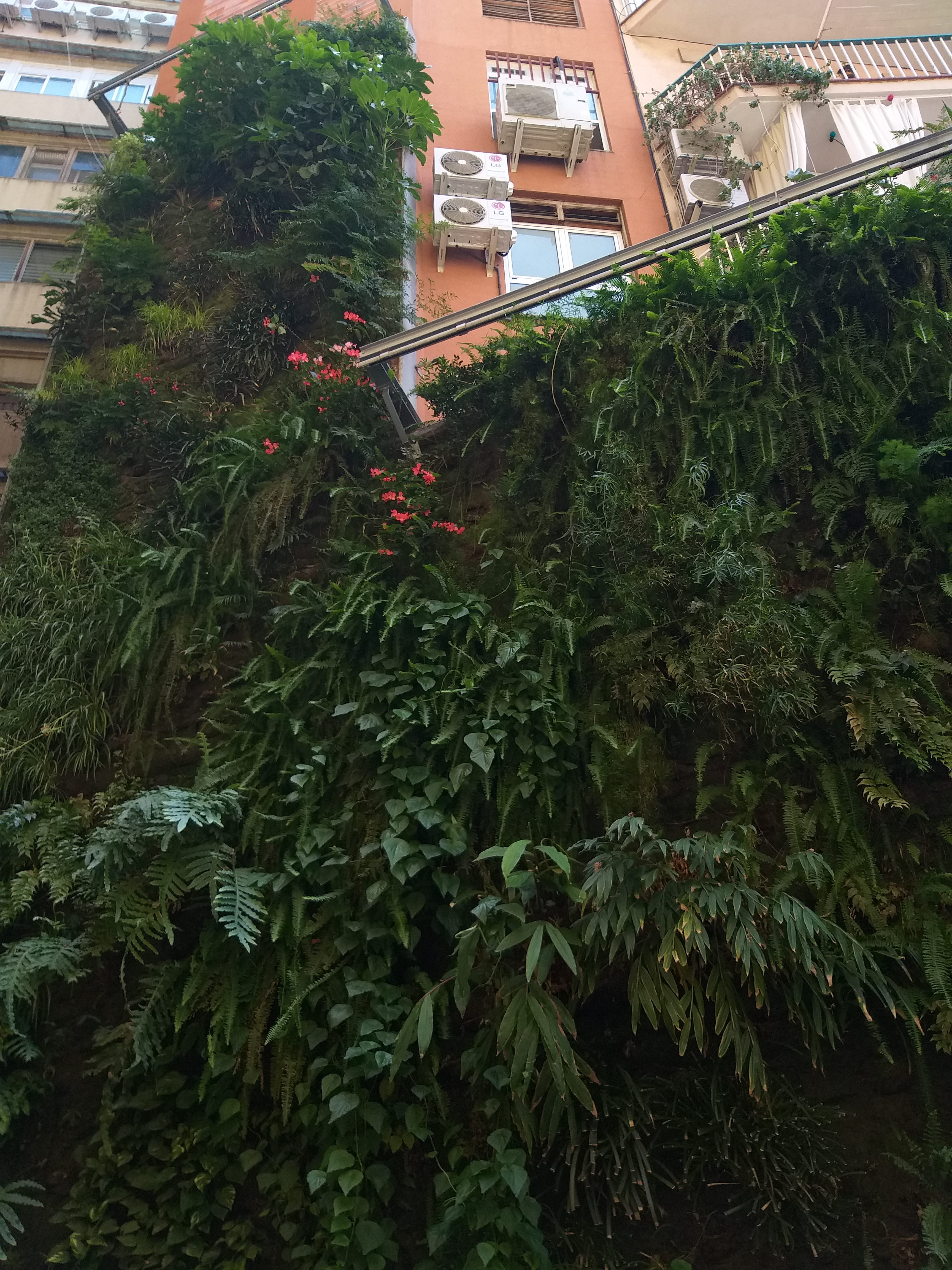 Urban development in Barcelona